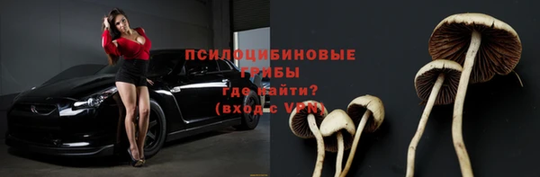 стаф Киреевск
