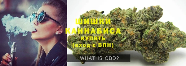 стаф Киреевск