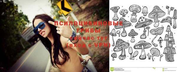 спиды Кинешма