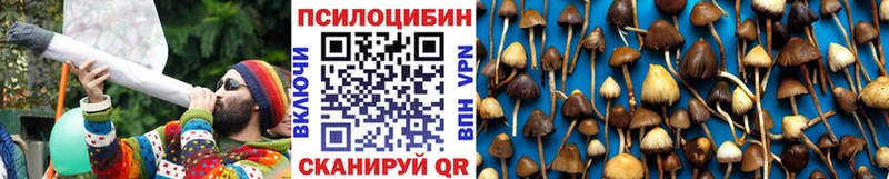 Псилоцибиновые грибы Magic Shrooms  Циолковский 